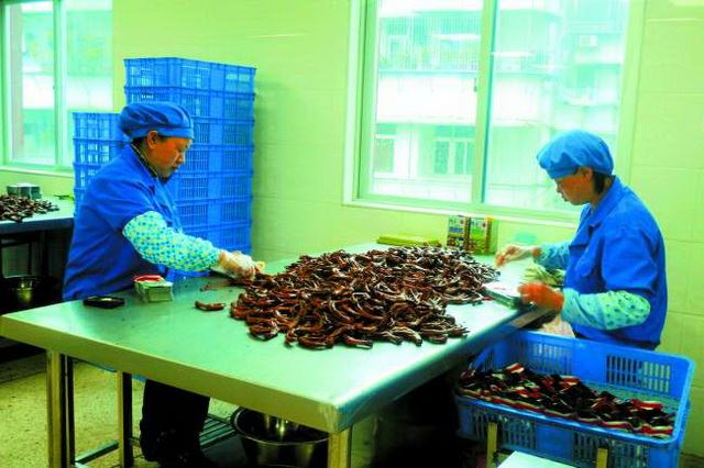 汕头老字号“老肥彭”卤味在潮汕地区乃至全国家喻户晓（转）