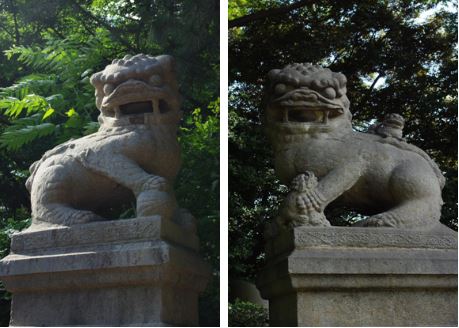 日本靖国神社，还我石狮！