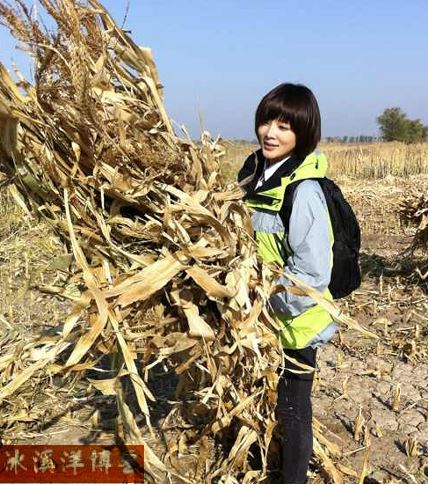 央视美女主播胡蝶的平民情愫