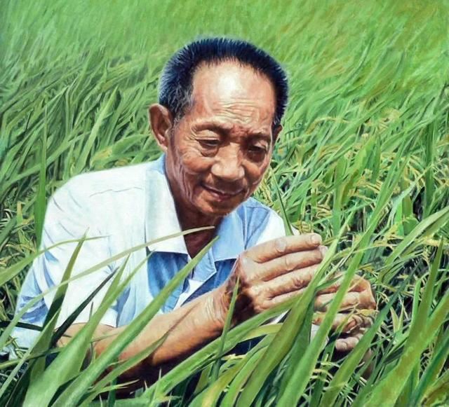 胡歌深夜微博48小时后……语言暴力,是悬在每个人身上的一把刀!