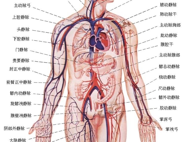 从乌克兰美女大学生被冻死说开去