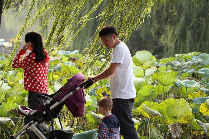 实拍：大明湖寻找我的夏雨荷