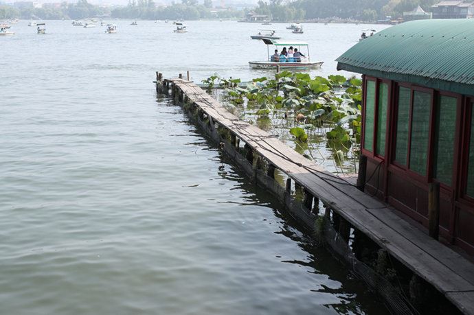 实拍：大明湖寻找我的夏雨荷