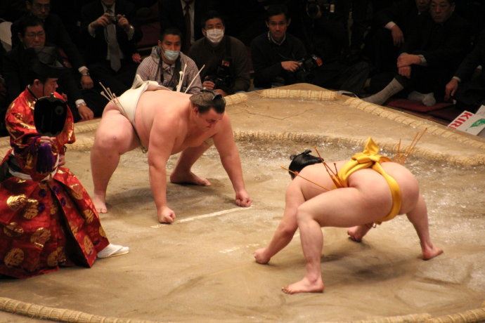 日本相扑运动员退役后都干什么
