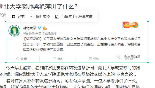 湖北大学老师梁艳萍讲了什么？