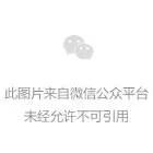 荣耀狂欢节背后的“全球化狂欢”