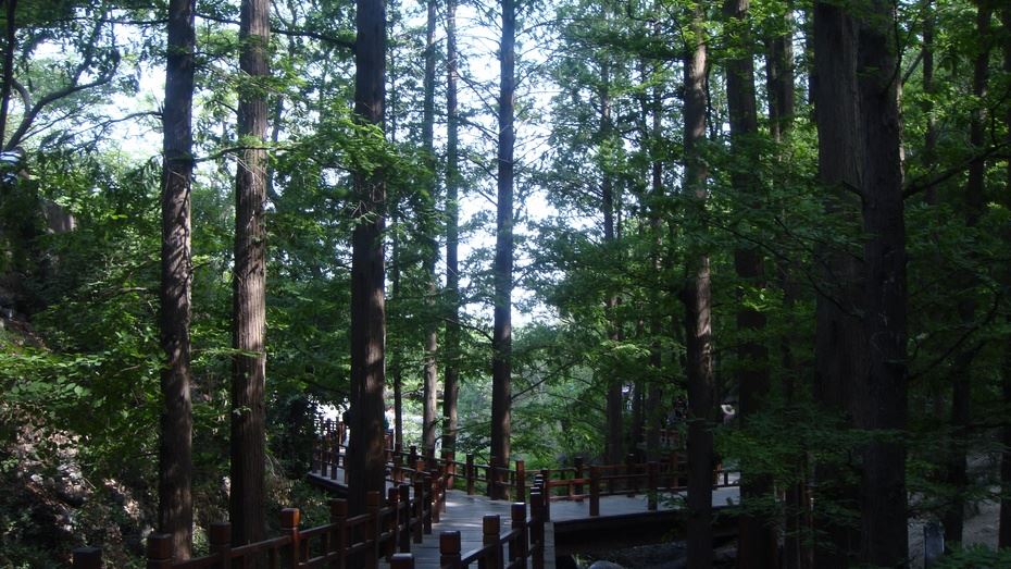 京西香山脚下之北京植物园