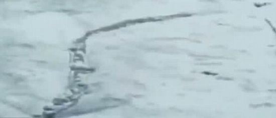 冰岛水怪，游走在冰面上的巨型蟒蛇(未解之谜)