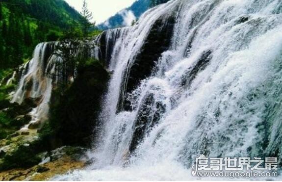 九寨沟最宽的瀑布，诺日朗瀑布(宽270米/高24.5米/海拔2365米)