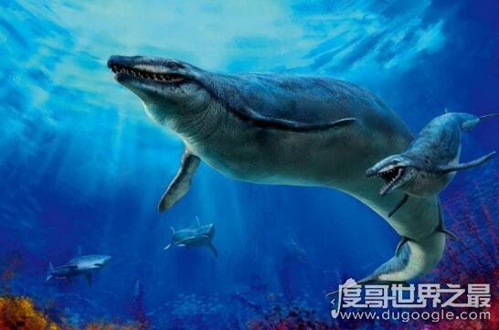 史前海洋霸主伊西斯龙王鲸，全球最大的掠食动物