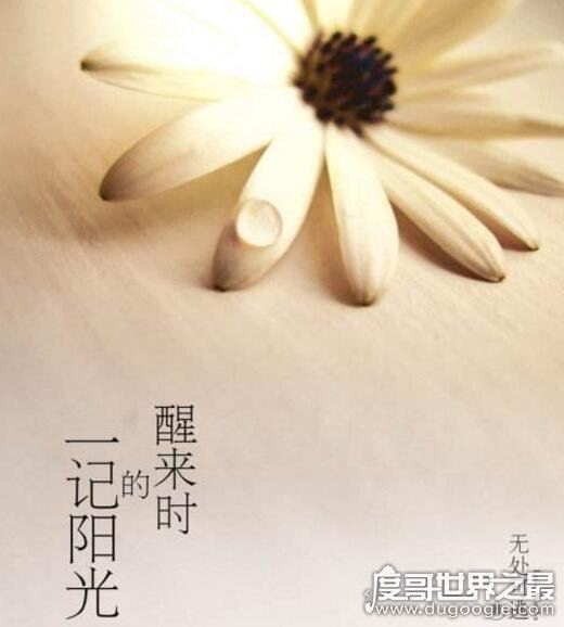 类似何以笙箫默的小说推荐,别后重逢虽虐但HE