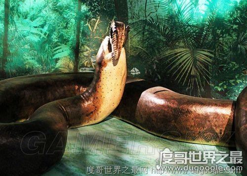 世界上最大的蛇,中国发现长达55米巨蛇(最大的蛇盘点)