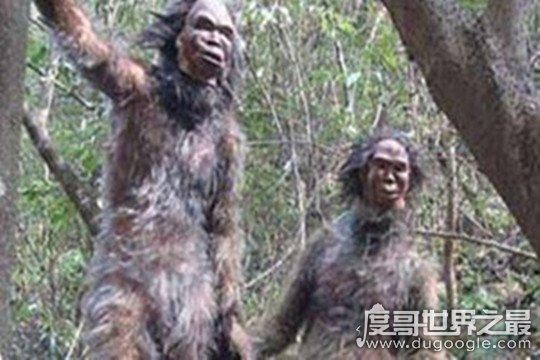 世界上十大不明生物盘点，美人鱼可能在世界上真实存在