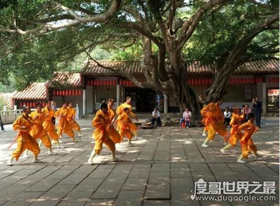 中国最大的少林寺是哪个，嵩山少林寺(中国5大少林寺排名)