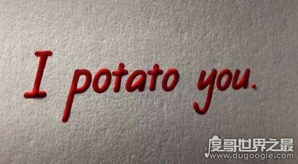 i potato you翻译什么意思，potato什么梗(指我很喜欢你)