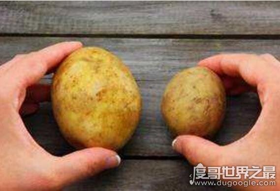 i potato you翻译什么意思，potato什么梗(指我很喜欢你)