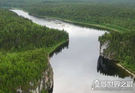 世界六大森林，亚马逊热带雨林乃是地球的绿色心肺