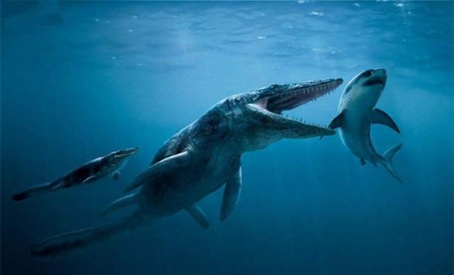 世界上咬合力最强的鲸鱼，龙王鲸可摧毁超过1600公斤重的头颅(已绝种)