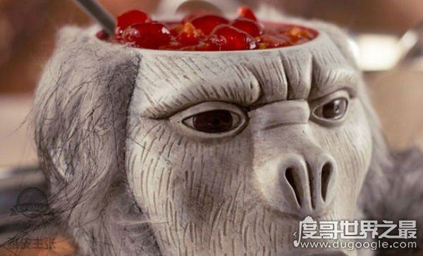 中国十大禁菜之活吃猴脑，往猴头内倒滚油(搅拌即食)