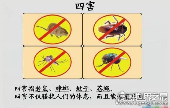 四害是哪四害，苍蝇、蚊子、老鼠、蟑螂这四种动物被称为四害
