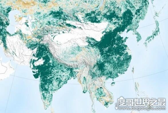 地球比20年前更绿了，中国和印度为地球变绿做出巨大贡献