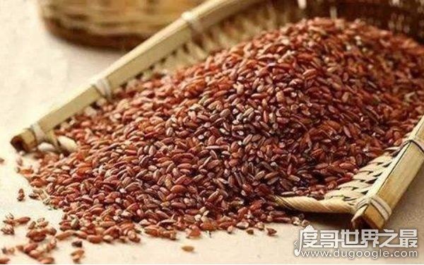 色泽红润软糯香甜，8000元一斤的大米（玉田胭脂米）
