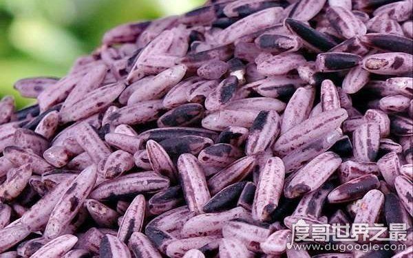 色泽红润软糯香甜,8000元一斤的大米(玉田胭脂米)