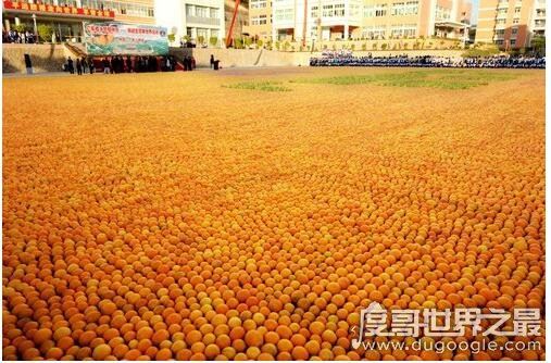 世界上最大的水果拼图，由37万多个水果组成(面积达2200平方米)