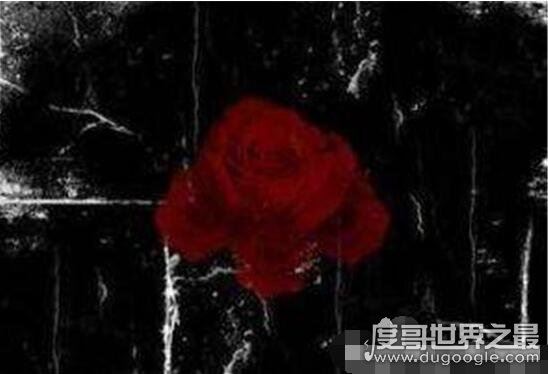 禁曲黑色星期天原版试听,黑色星期天歌词鉴赏(看了不要自杀)