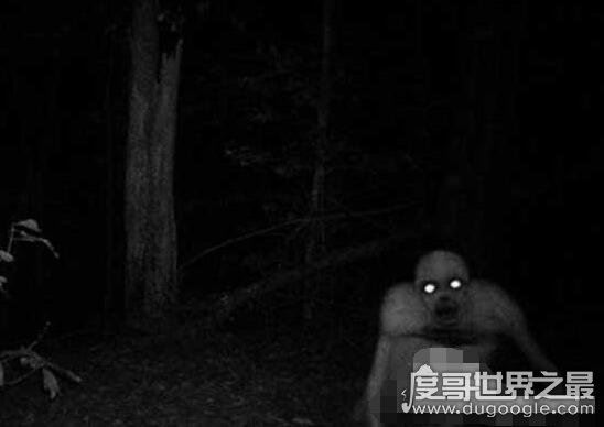 美国惊现无毛僵尸,传说中的僵尸其实一直都存在