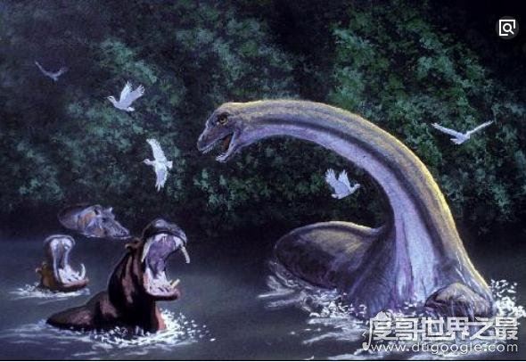 刚果恐龙魔克拉姆边贝，世界上仅存的一只史前“恐龙”