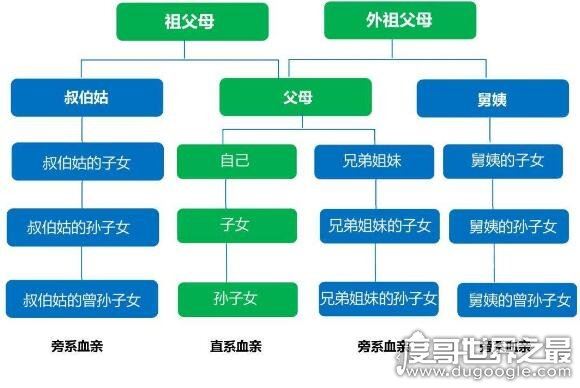 中国人亲戚关系图表，教你轻松搞明白你与亲戚之间的血缘关系