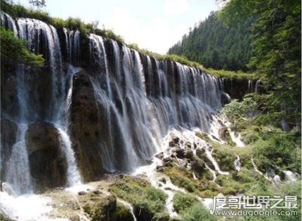 中国最宽的瀑布，九寨沟诺日朗瀑布(震后两年再开放比震前更壮观)