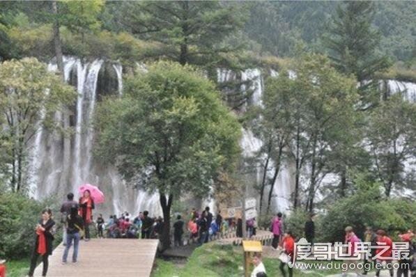 中国最宽的瀑布，九寨沟诺日朗瀑布(震后两年再开放比震前更壮观)