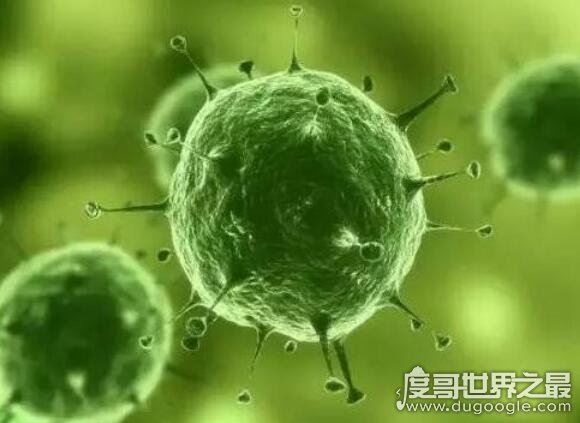 世界上最小的生物,在4.8公里深海处发现的微生物(比细菌还小)