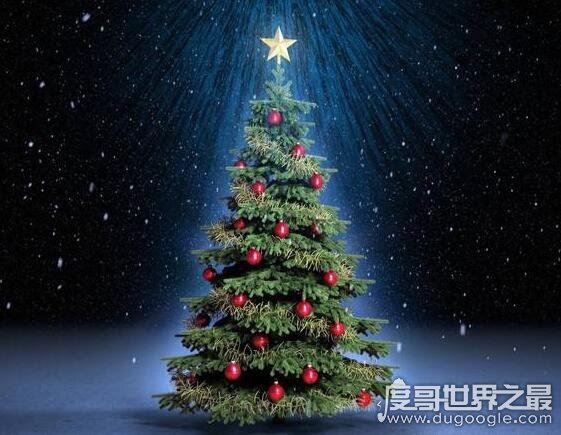 圣诞树是什么树，经过装饰的常青树(松柏类的树比较常见)