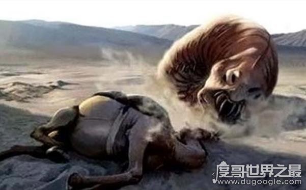 蒙古死亡之虫疑真实存在,探险家远赴蒙古戈壁追寻神秘肠虫