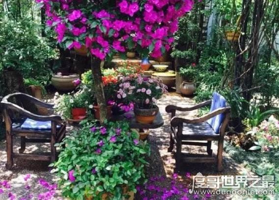 杨丽萍月亮宫私宅曝光,真正的“面朝大海 春暖花开”(美哭了)