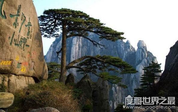中国四大名山简介,望庐山瀑布一定要去看