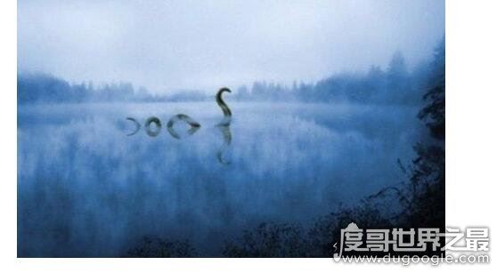 传闻中的尼斯湖水怪图片，真相已被揭开(疑似巨型鳗鱼)