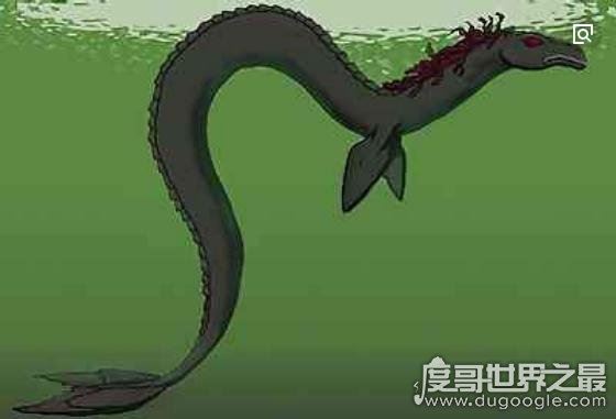 世界上真实存在的水怪，卡布罗龙(体长20米的马头蛇尾大海怪)