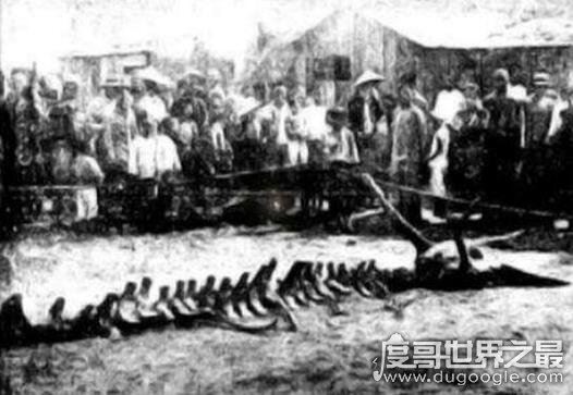 网友最关注的中国十大未解之谜，罗布泊双鱼玉佩事件最诡异