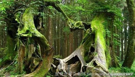 全球十大最恐怖的地方,墨西哥娃娃岛和法国巴黎地下墓穴