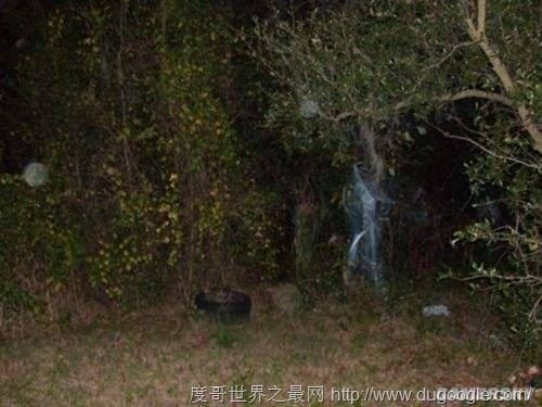 全球十大最恐怖的地方,墨西哥娃娃岛和法国巴黎地下墓穴