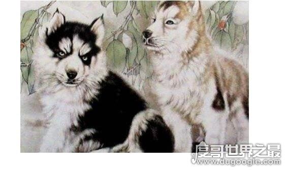 鬼最怕的七种生肖,这些属相的人只要不做亏心事就不怕鬼敲门