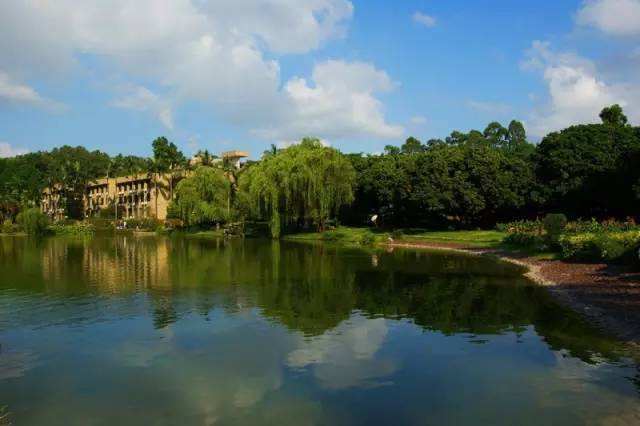 深圳四大邪地之一的深圳大学，究竟发生了哪些灵异事件