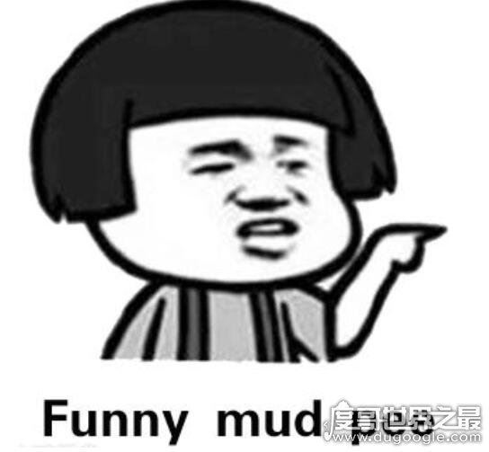 funny mud pee是什么意思？把外国人骂懵了(中文谐音你细品)