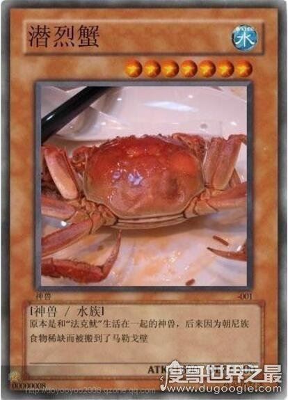 雅蠛蝶是什么意思,日语不要的意思(网络十大神兽之一)