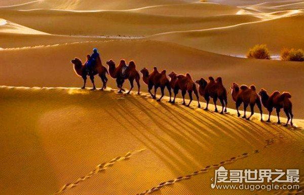 中国最大的沙漠排名，第一为塔克拉玛干沙漠(33.76万平方千米)