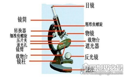 世界上最早的显微镜，亚斯·詹森在1590年发明了首个显微镜